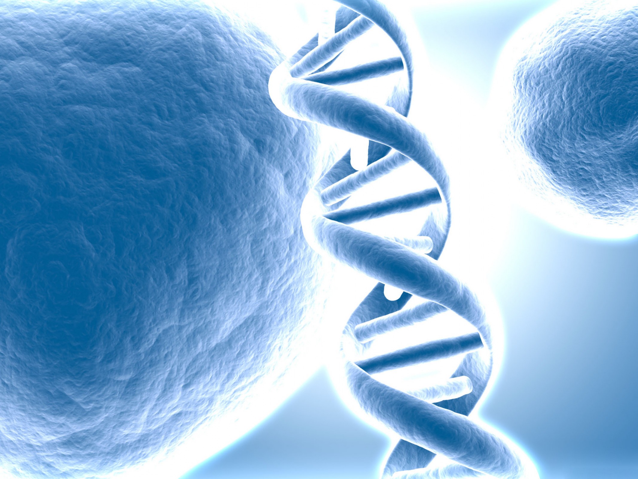 dna_represented_tridimensional_resized_2560x1600-w